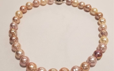 NO RESERVE PRICE - 925 Silver - 11x14mm Multi Edison Pearls - Necklace