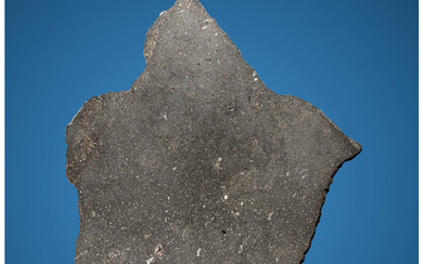 NWA 1941 Meteorite Slice Ordinary Chondrite, L6 Northwest Africa...