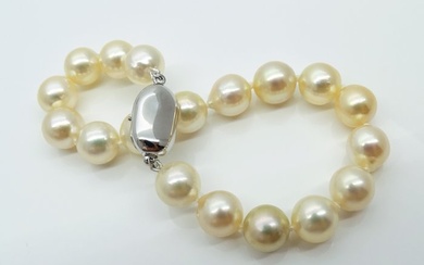 No Reserve Price - Akoya Pearls, Natural Golden Color, 8.5 -9 mm - 925 Silver - Bracelet