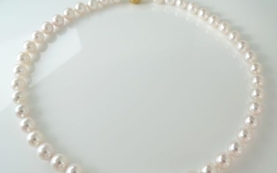 No Reserve Price - Akoya pearls, Huge Rare Premium 9 -9.5 mm - Necklace, 18 kt. Yellow Gold - Diamonds