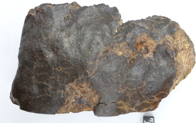 OFFICIALLY CLASSIFIED & APPROVEDNWA 12629 Chondrite Meteorite - 17×11×8 cm - 1187 g - (1)