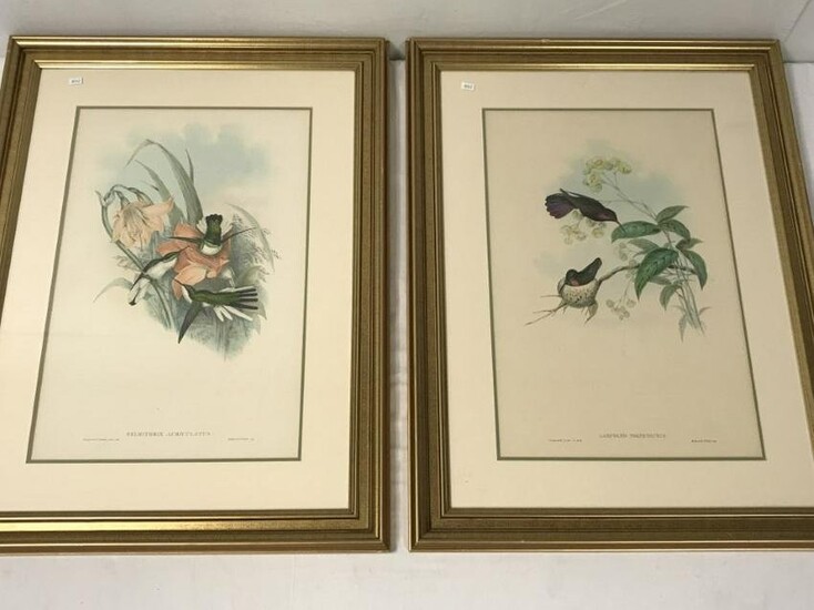 PAIR - GOULD & RICHTER, HAND COLORED LITHOGRAPHS