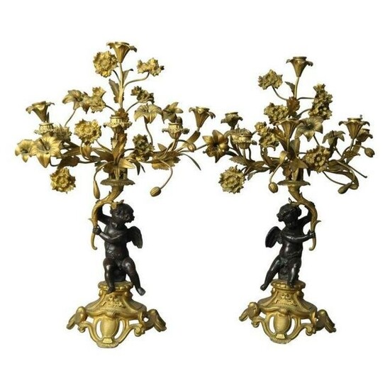 Pair of 19th C. French Rococo Gilt & Patinated Bronze