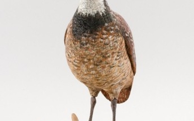 ROSS BAKER LIFE-SIZE QUAIL Glass eyes. Mounted on a circular wooden base. Height 11".
