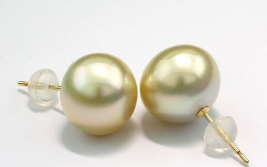 Südseezuchtperlen Ohrstecker Natural Gold 10,5/10,8mm feiner Lüster NO RESERVE PRICE - 18 kt. Yellow gold - Earrings Pearls