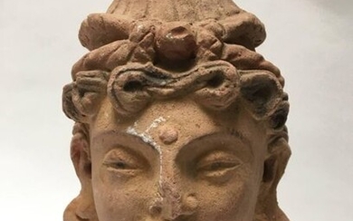 Terracotta woman's head.