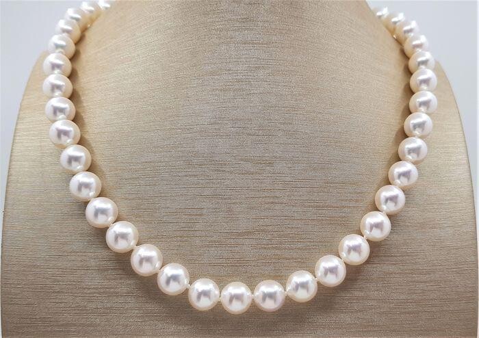 Top grade AAA 9x9.5mm Akoya Pearls - 14 kt. White gold