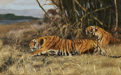 Wilhelm Kuhnert Two Stalking Tigers