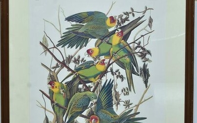after John James Audubon