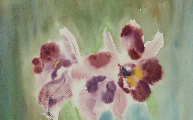 Jane Peterson Orchids