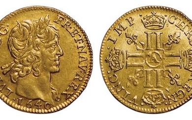 Louis XIII. Demi Louis d'or mèche courte 1640 A. P…