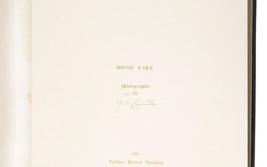 Seventeen photographic views of Mono Lake
