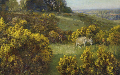 Sir Alfred James Munnings, P.R.A., R.W.S. (British, 1878-1959), Gorse on Ringland Hills