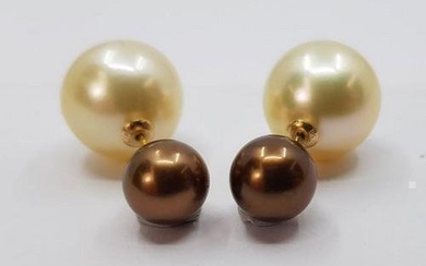 8.5x13mm Golden South Sea and Chocolate Tahitian Pearls - 18 kt. Yellow gold - Earrings