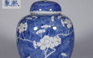 A BLUE-AND-WHITE PORCELAIN JAR, WITH LID.
