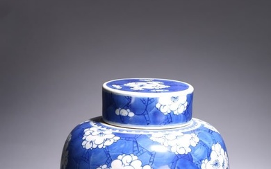 A CHINESE BLUE AND WHITE 'PRUNUS ON CRACKED ICE' JAR