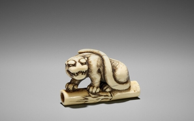 A POWERFUL KYOTO SCHOOL IVORY NETSUKE OF A TIGER ON BAMBOO
