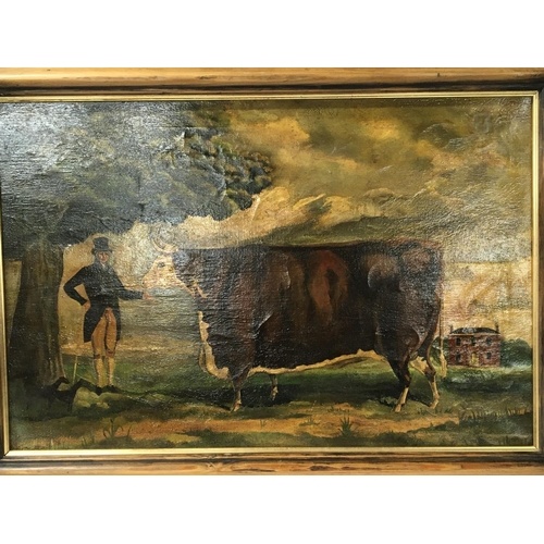 A framed oil painting on canvas study of a prize Hereford ty...