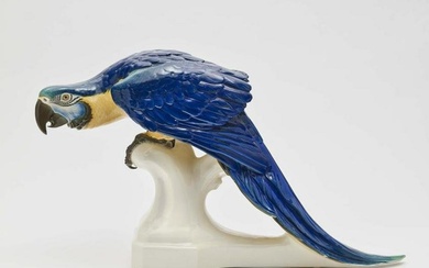 A macaw Nymphenburg, after 1913, design by Theodor
