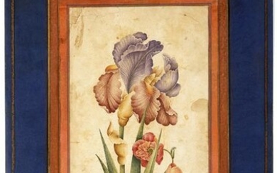 AN ALBUM PAGE WITH A TINTED DRAWING OF AN IRIS AND