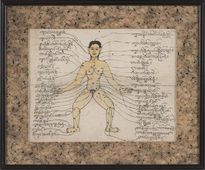 ASIAN HAND-COLORED MEDICAL DRAWING 20th Century