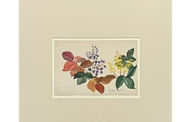 American Botanical Watercolor by E R Martin