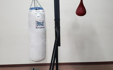 Body System Ex 818 with Speed & Heavy Bag