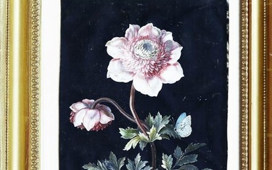Dietzsch watercolor of Anemones and a large Blue