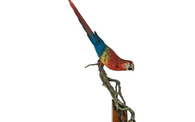 Floyd Scholz (b.1958) Life Sized Parrot Sculpture