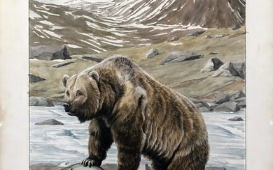 Fuertes Watercolor for National Geographic - Brown Bear