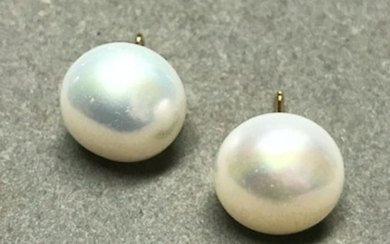 Huge 13-14mm White South Sea Pearl 14kt Earrings