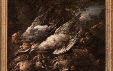Italian school; 17th century. "Still life of birds". Oil on canvas. Relined