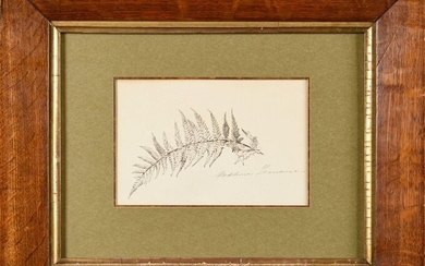 "MADELEINE LEMAIRE, DRAWING FOR MARCEL PROUST MADELEINE LEMAIRE (1845-1928) Fern...