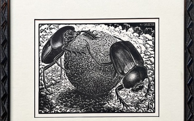 M.C. Escher - MC Escher, ORIGINELE houtgravure, 1935. Scarabeeën