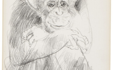 Neil Forster (1939-2016) Study for a chimpanzee