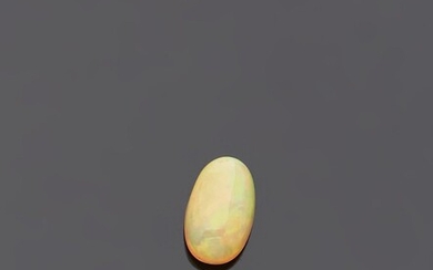 Opale cabochon de forme ovale Poids : 9,8... - Lot 48 - L'Huillier & Associés