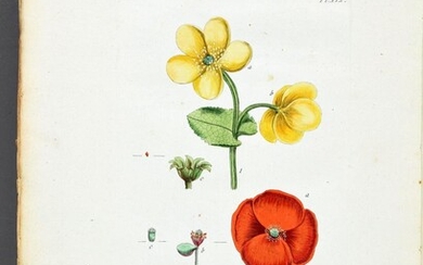 ROUSSEAU, Jean-Jacques - Recueil de plantes coloriées, pour servir à l'intelligence des lettres élémentaires sur la botanique [...].