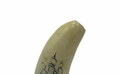 Scrimshaw Whale Tooth with Ship Engraved
