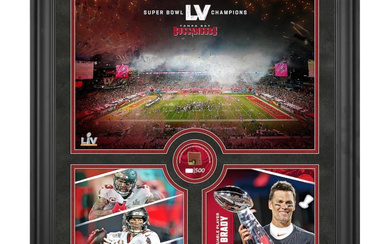 Tampa Bay Buccaneers Super Bowl LV Champions 20x24 Custom Framed Display with Piece of Game-Used Football
