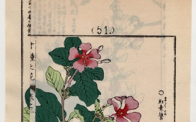 Vintage Botanical Woodblock Print From the 1970s by Kono Bairei