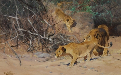 Wilhelm Kuhnert A Pride of Lions on the Prowl