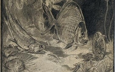 Woodward Original Early Drawing of Permian Marine Life