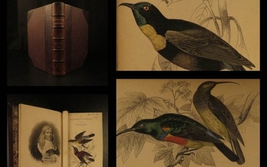 1862 Jardine BIRDS 32 Color Illustrated Aviary Sunbird