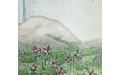 1920's Sweet Violet Color Lithograph Print