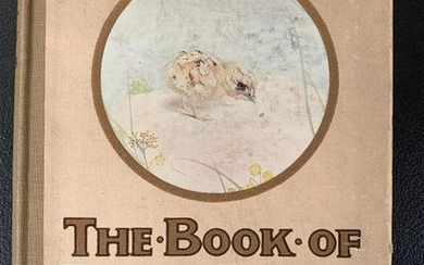 The Book of Baby Birds by E. J. Detmold