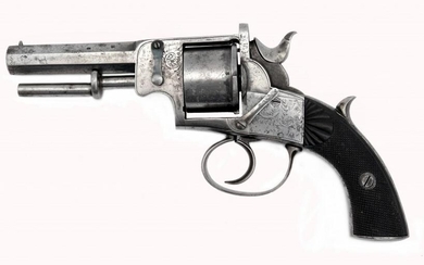 A Double Action Revolver by William Worton