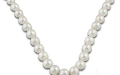 AUTRALIAN PEARLS NECKLACE 14.7-12 63638