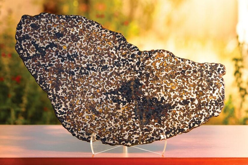 Brenham Meteorite Full Slice