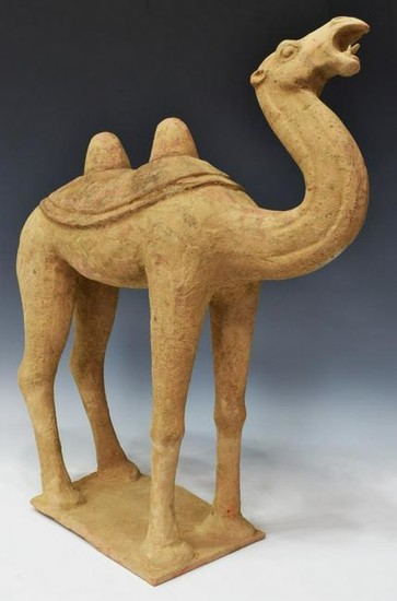 CHINESE TANG DYNASTY POTTERY BACTRIAN CAMEL