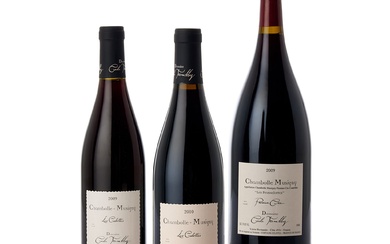Chambolle Musigny, Les Cabottes 2010 Domaine Cécile Tremblay (12 BT)
